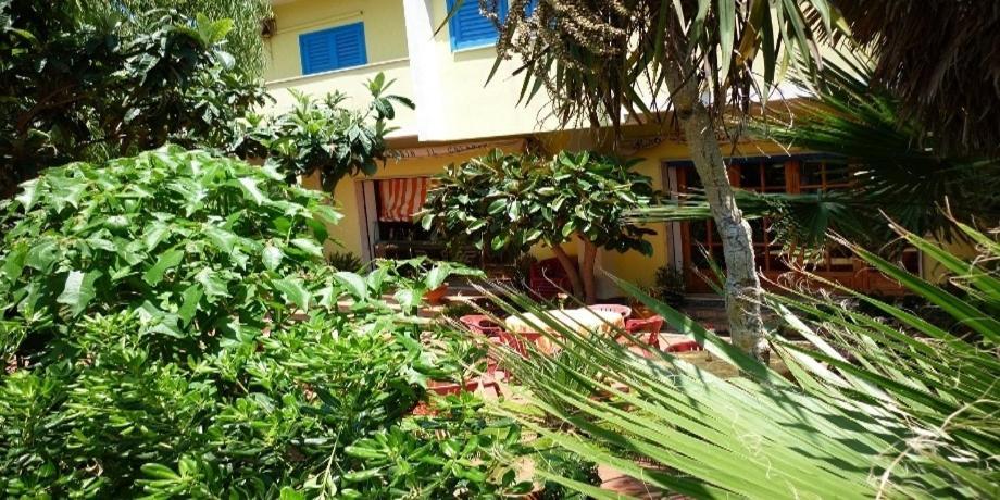 Hotel Alexander Santa Domenica  Εξωτερικό φωτογραφία